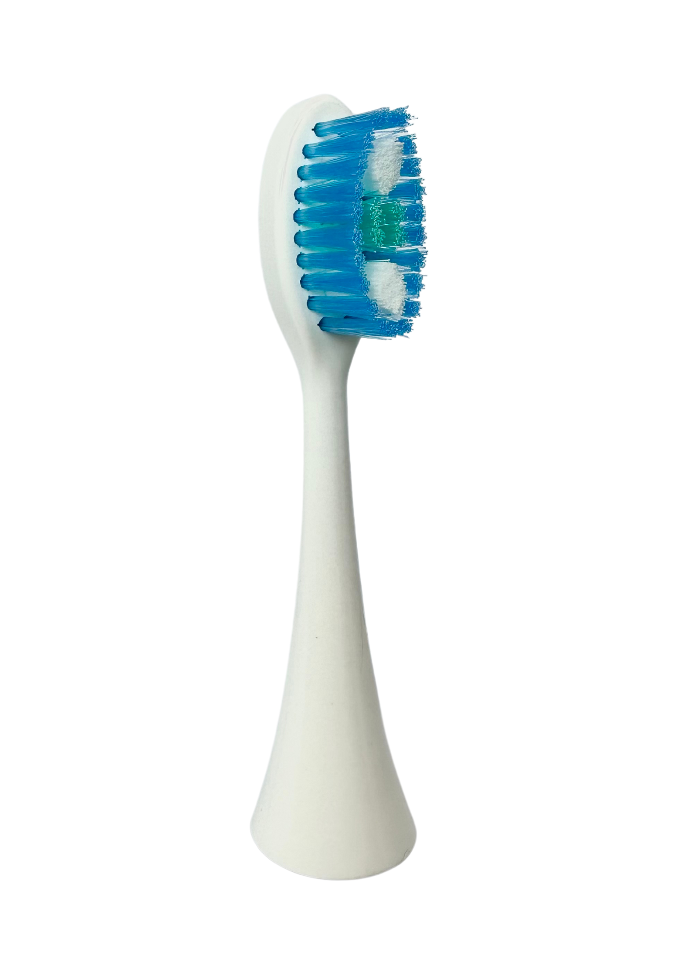 Guardian Brush Head